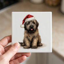 Briard Puppy Drawing ceramic coasters set of 4, in hand