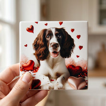 English Springer Spaniel ceramic coasters set of 4, in hand