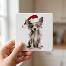 Chinese Crested Puppy ceramic coasters set of 4, in hand