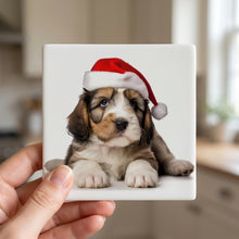 Petit Basset Griffon Vendéen Puppy ceramic coasters set of 4, in hand