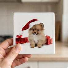 Pomeranian Puppy ceramic coasters set of 4, in hand
