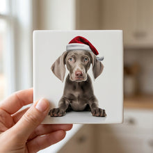 Weimaraner Puppy ceramic coasters set of 4, in hand