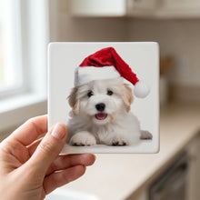 Coton de Tulear Puppy ceramic coasters set of 4, in hand