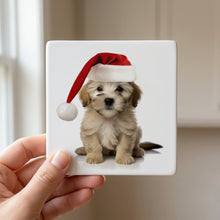 Dandie Dinmont Terrier Puppy ceramic coasters set of 4, in hand