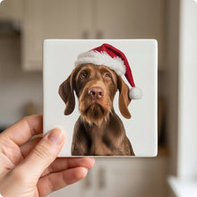 Wirehaired Vizsla ceramic coasters set of 4, in hand