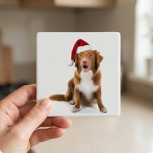 Nova Scotia Duck Tolling Retriever ceramic coasters set of 4, in hand
