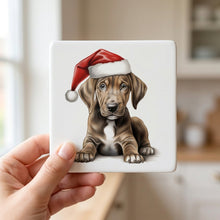 Plott Hound Puppy Drawing ceramic coasters set of 4, in hand