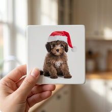 Poodle Puppy ceramic coasters set of 4, in hand
