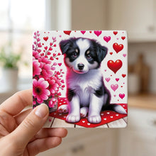 Australian Shepherd ceramic coasters set of 4, in hand