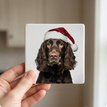 American Water Spaniel ceramic coasters set of 4, in hand