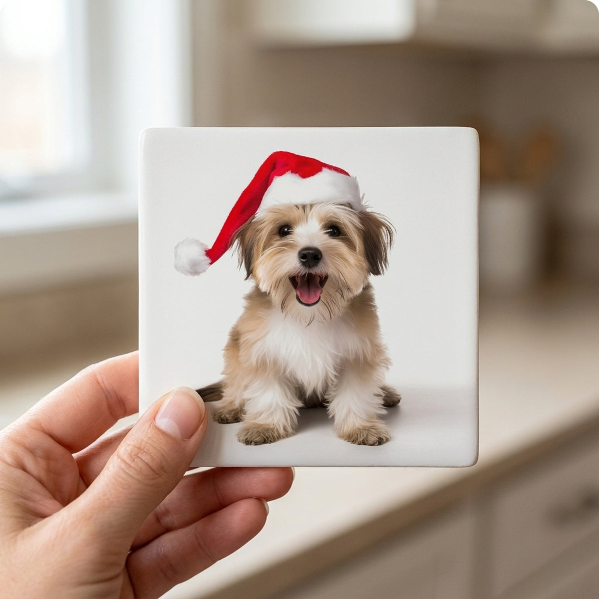 Biewer Terrier ceramic coasters set of 4, in hand