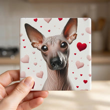 Xoloitzcuintli ceramic coasters set of 4, in hand