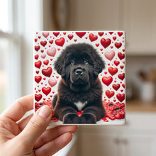 Newfoundland ceramic coasters set of 4, in hand