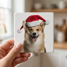 Icelandic Sheepdog ceramic coasters set of 4, in hand