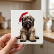 Briard Puppy ceramic coasters set of 4, in hand