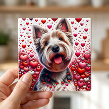 Yorkshire Terrier ceramic coasters set of 4, in hand