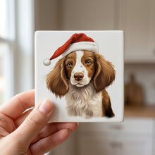 Welsh Springer Spaniel Puppy Drawing ceramic coasters set of 4, in hand
