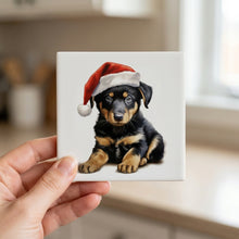 Beauceron Puppy Drawing ceramic coasters set of 4, in hand