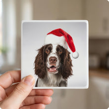 English Springer Spaniel ceramic coasters set of 4, in hand
