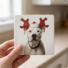 Dogo Argentino ceramic coasters set of 4, in hand