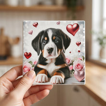 Greater Swiss Mountain Dog ceramic coasters set of 4, in hand