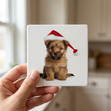 Australian Terrier Puppy ceramic coasters set of 4, in hand