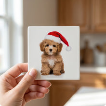 Poodle Puppy ceramic coasters set of 4, in hand