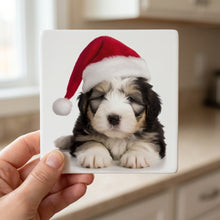 Old English Sheepdog Puppy ceramic coasters set of 4, in hand
