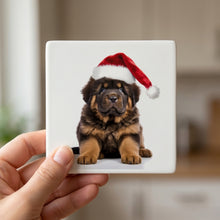 Tibetan Mastiff Puppy ceramic coasters set of 4, in hand