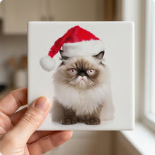 Himalayan Cat ceramic coasters set of 4, in hand