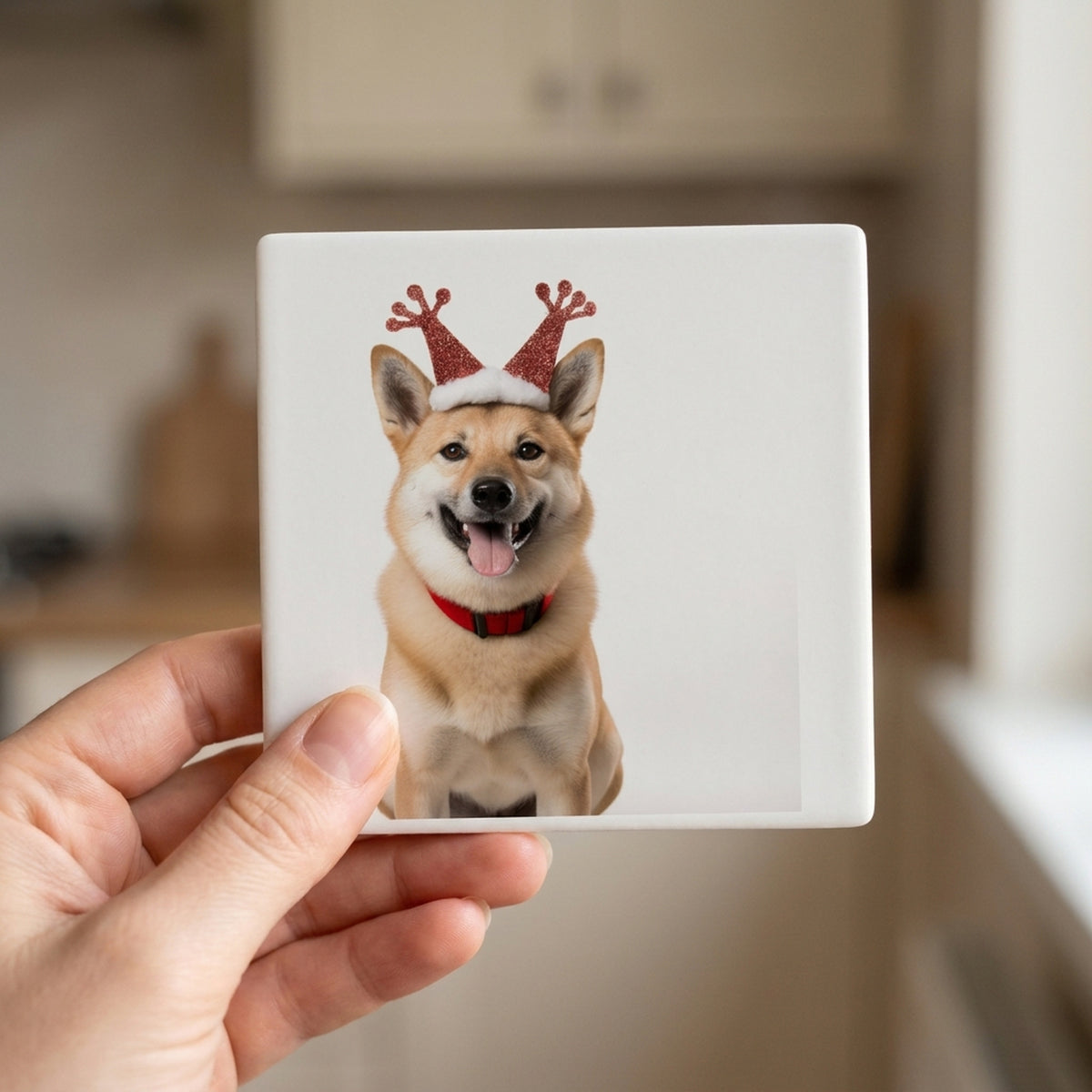 Norwegian Buhund ceramic coasters set of 4, in hand
