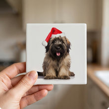 Briard Puppy ceramic coasters set of 4, in hand