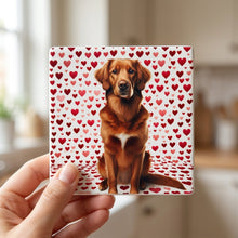 Nova Scotia Duck Tolling Retriever ceramic coasters set of 4, in hand