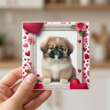 Pekingese ceramic coasters set of 4, in hand