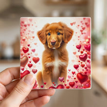 Nova Scotia Duck Tolling Retriever ceramic coasters set of 4, in hand