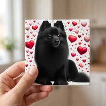 Schipperke ceramic coasters set of 4, in hand