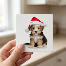 Biewer Terrier Puppy ceramic coasters set of 4, in hand