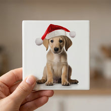 Sloughi Puppy ceramic coasters set of 4, in hand