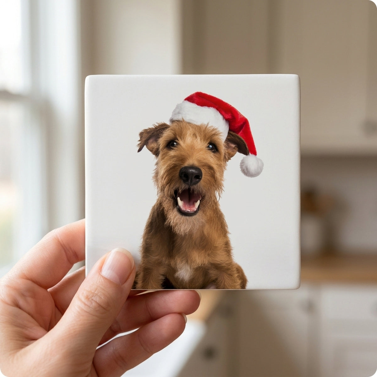 Irish Terrier ceramic coasters set of 4, in hand