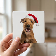 Irish Terrier ceramic coasters set of 4, in hand