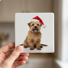 Norfolk Terrier ceramic coasters set of 4, in hand
