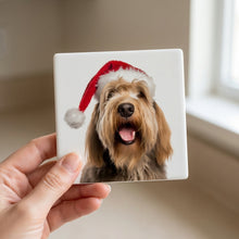 Otterhound ceramic coasters set of 4, in hand