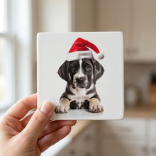 Great Dane Puppy ceramic coasters set of 4, in hand