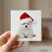 Pumik Puppy ceramic coasters set of 4, in hand