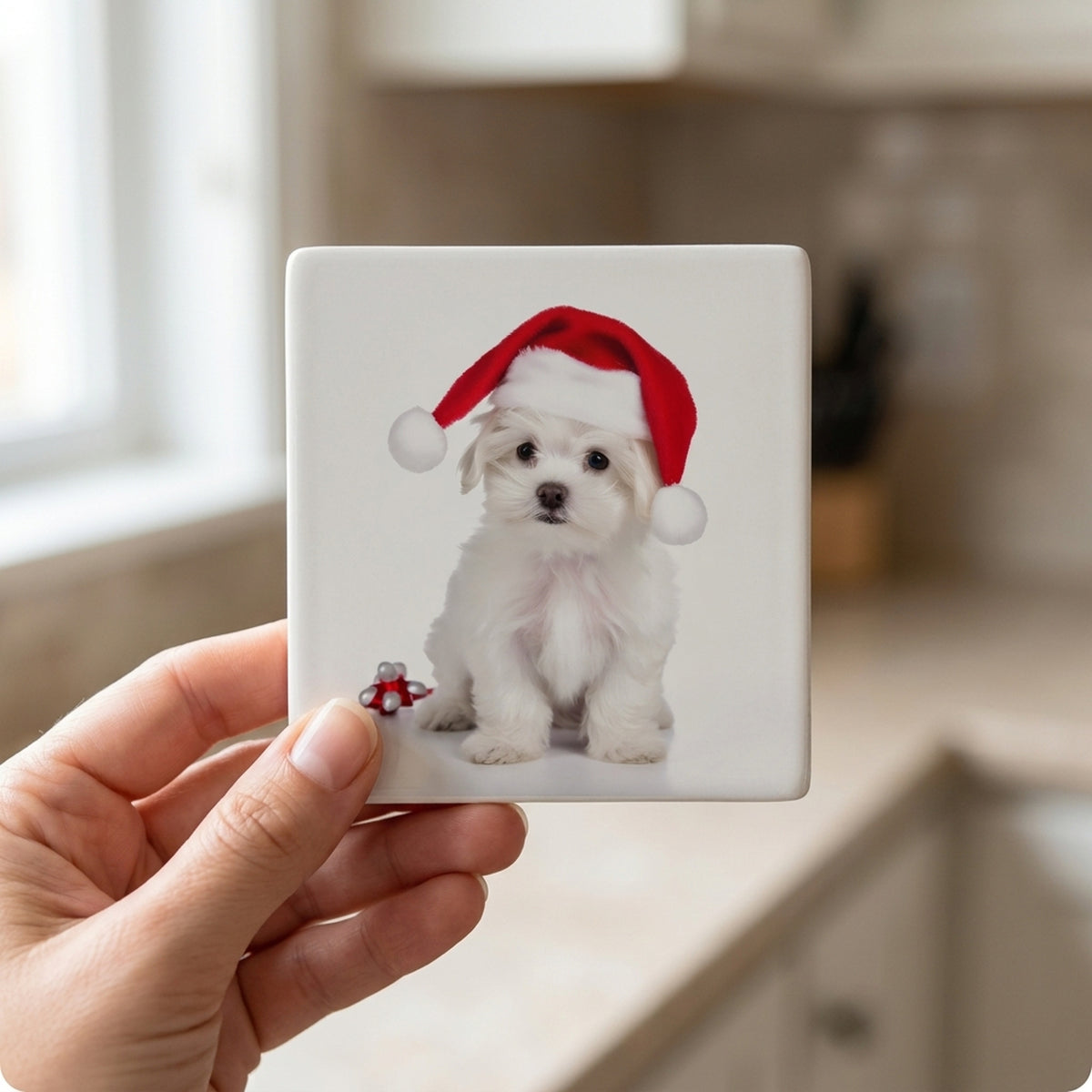 Maltese Puppy ceramic coasters set of 4, in hand