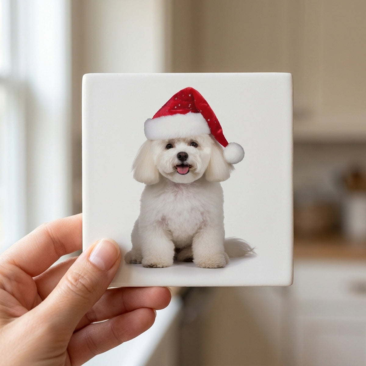 Bichon Frise ceramic coasters set of 4, in hand