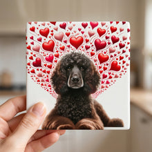 Irish Water Spaniel ceramic coasters set of 4, in hand