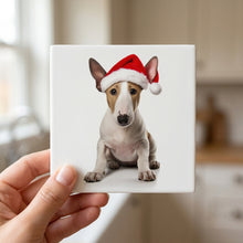 Miniature Bull Terrier ceramic coasters set of 4, in hand