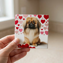 Pekingese ceramic coasters set of 4, in hand