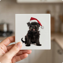 Affenpinscher Puppy ceramic coasters set of 4, in hand